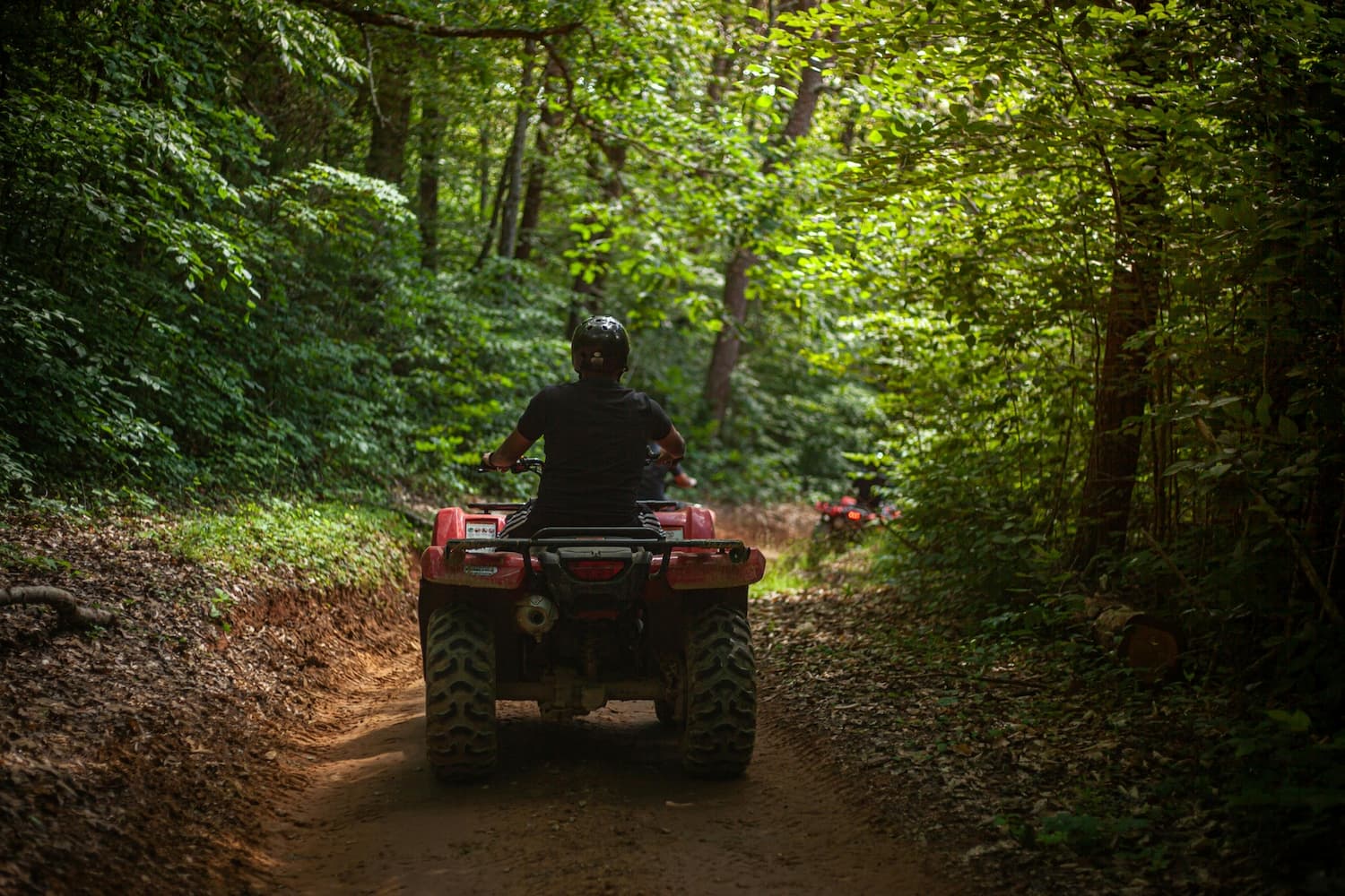 ATV adventure in forest