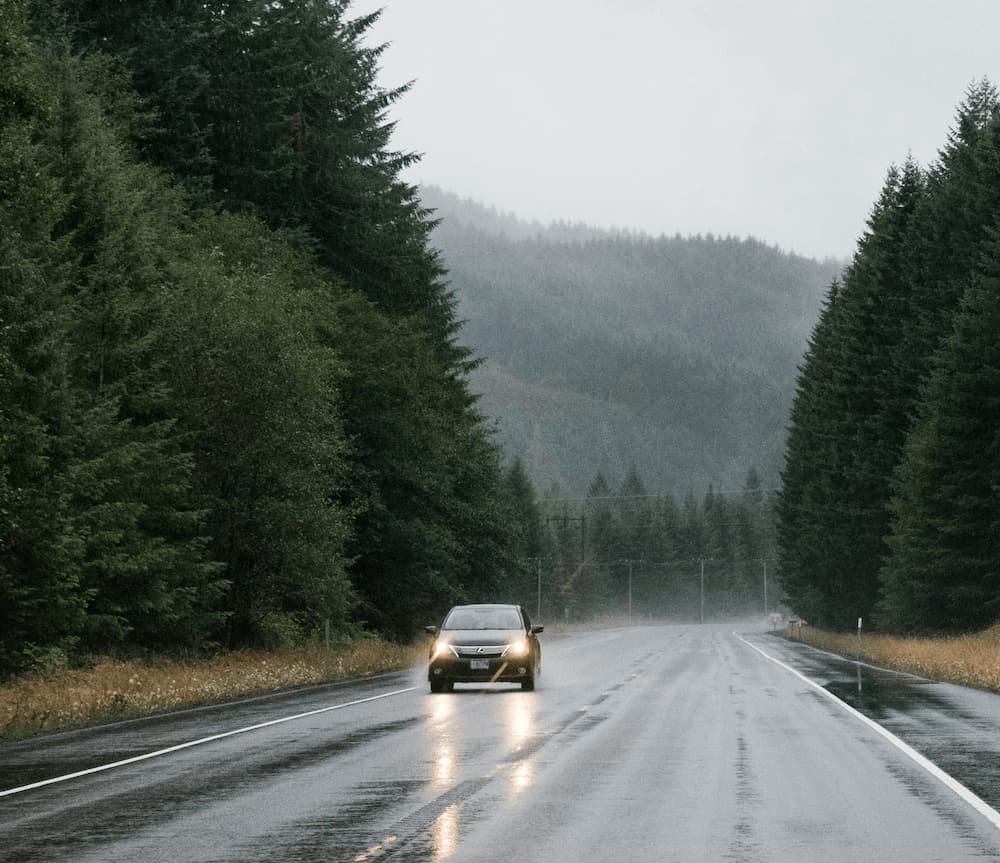 Windshield protection